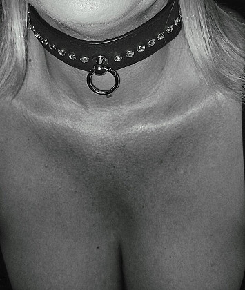 Lotus-blume1 thumb image