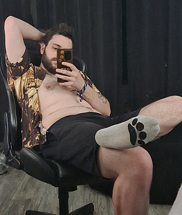 German_Young_Bear Vorschaubild