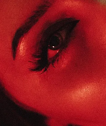 Provocunt Vorschaubild